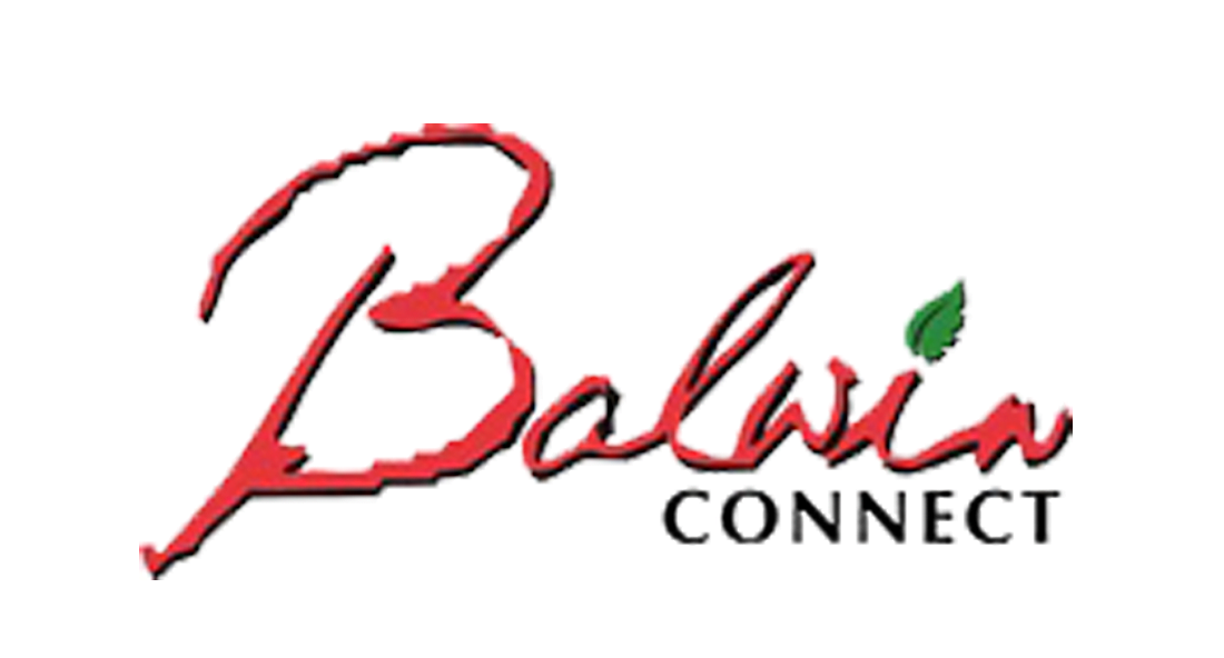 Balwin Connect 1