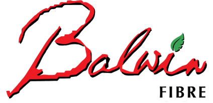 Balwin fibre Logo 4